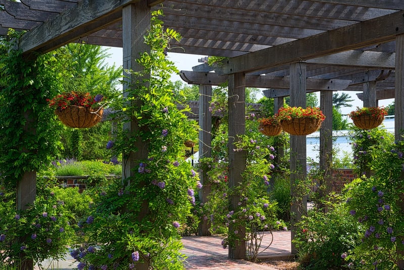 Garden Gazebos