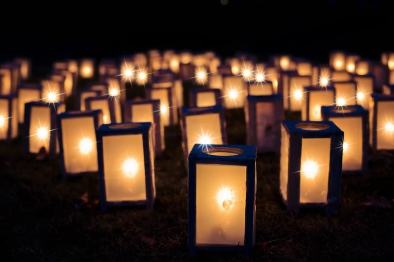 Whimsical Forest Lights